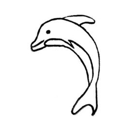Delfin 03 gross