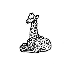 Giraffe 01 klein