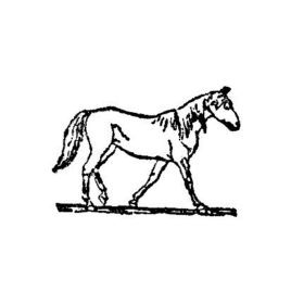 Pferd 05 3×3