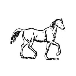 Pferd 07 3×4