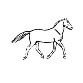 Pferd 02
