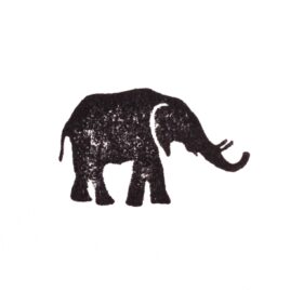 Elefant 06